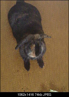 Hallo an alle-12092010017.jpg