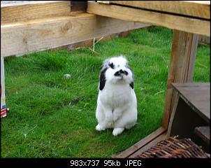 RABBID`s Vorstellungsthread-dsc00015.jpg