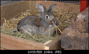 Was lange w�hrt...-s1180001.jpg