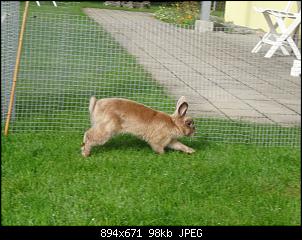 RABBID`s Vorstellungsthread-dsc00204.jpg