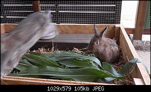 Was lange w�hrt...-s1180061.jpg