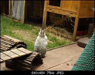 Die Findorffer Gartenzwerge stellen sich vor-k-dscf0712.jpg