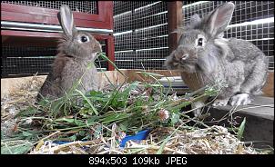 Was lange w�hrt...-s1190011.jpg
