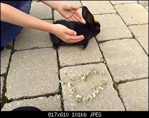 Wir Stellen Uns Vor-image.jpg