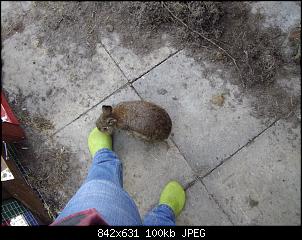 Was lange w�hrt...-imgp3518.jpg