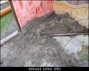 Was lange w�hrt...-imgp3517.jpg