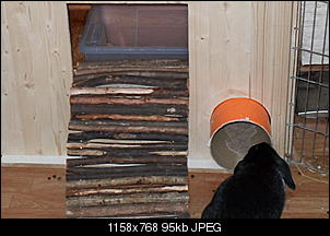 Neues von meinen C`s-sdc11296.jpg