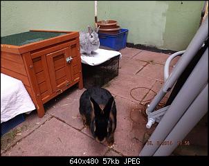 Die Findorffer Gartenzwerge stellen sich vor-k-ben-holly-040.jpg