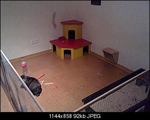 Hallo an alle-19092010034.jpg