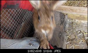 Was lange w�hrt...-s1210030.jpg