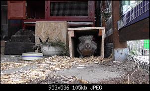 Was lange w�hrt...-s1210059.jpg