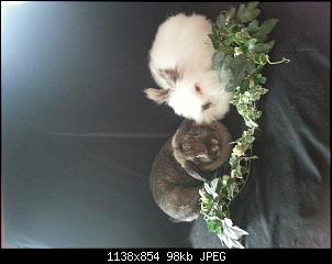 Meine Prinzessin und meine Diva-20140828_174828.jpg