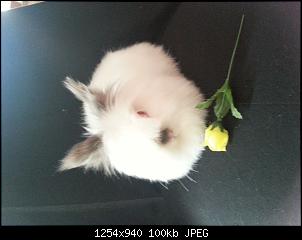 Meine Prinzessin und meine Diva-20140828_174336.jpg