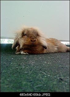 Neu hier. :)-dsc00966.jpg