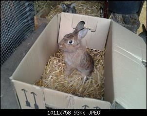 Was lange w�hrt...-foto0748.jpg