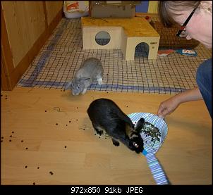 Leopold und Stupsi aus dem Frankenland-0914k%F6ttelweg.jpg