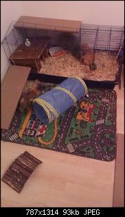 schnuffel & charlie :)-imag0673.jpg