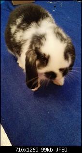 Huhu wir neu hier....-img_20141018_223427.jpg