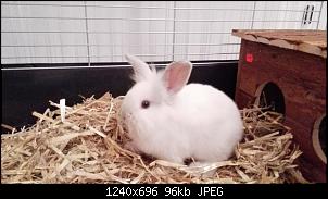 Huhu wir neu hier....-img_20141016_200205.jpg