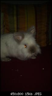 Auch wir sind neu hier!-img-20141014-wa0017.jpg