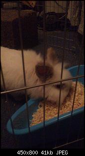 Auch wir sind neu hier!-img-20141019-wa0002.jpg
