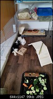 Huhu wir neu hier....-img_20141101_160235.jpg
