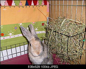 Bilder von Kiwi & Lilly-s7300958.jpg