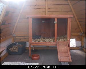 Unsere 4 Kaninchen stellen sich vor-dscf2008.jpg