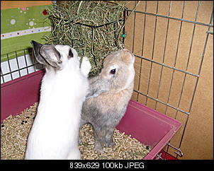 Bilder von Kiwi & Lilly-s7300962.jpg