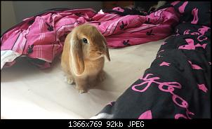 Meine verr�ckten Nickels :)-20140905_124039.jpg