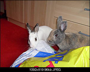 Bilder von Kiwi & Lilly-s7300971.jpg