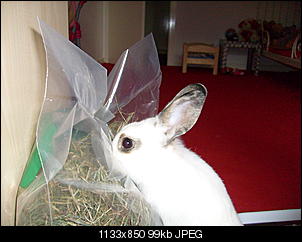 Bilder von Kiwi & Lilly-s7300986.jpg