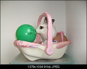 Bilder von Kiwi & Lilly-s7300990.jpg