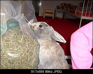 Bilder von Kiwi & Lilly-s7300981.jpg