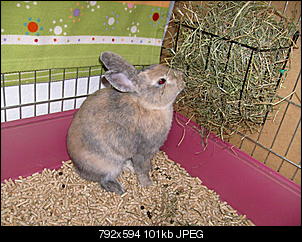 Bilder von Kiwi & Lilly-s7300997.jpg