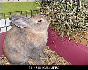 Bilder von Kiwi & Lilly-s7301002.jpg