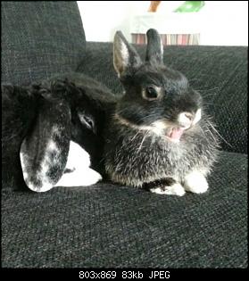 Huhu...-20140403_182851_722692-1.jpg