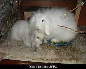 Hallo an alle !!!-dscf0713.jpg