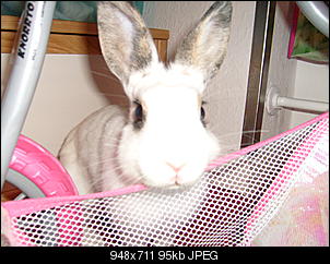 Bilder von Kiwi & Lilly-s7301022.jpg