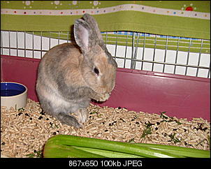 Bilder von Kiwi & Lilly-s7301026.jpg