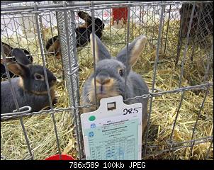 Minnie und Raj-s6.jpg