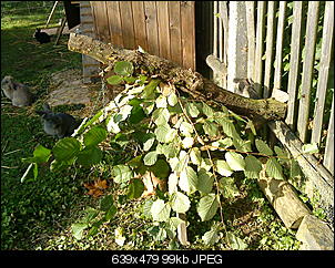 *Fotos* - Die Futterampel-dsc01211.jpg