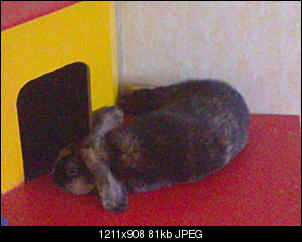Hallo an alle-10102010050.jpg