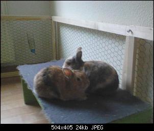 Micky und ihre zwei Zwergenjungs :)-s-l-l.jpg