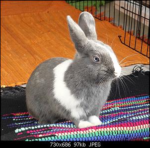 Unsere "kleine" Familie-colin-sun-blue-eyes-imgur.jpg