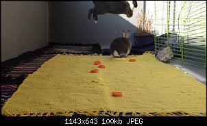 Unsere "kleine" Familie-10946196_10202393754483595_2055231865_o.jpg