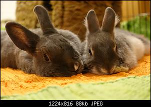 Unsere "kleine" Familie-have-rough-day-lazy-sundays-imgur.jpg