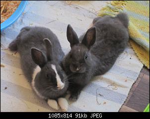 Unsere "kleine" Familie-colin-mogli-so-cute-imgur.jpg