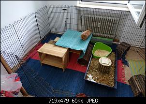 Unsere "kleine" Familie-dsc02051-small-.jpg
