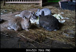 Unsere bunte Truppe-033.jpg